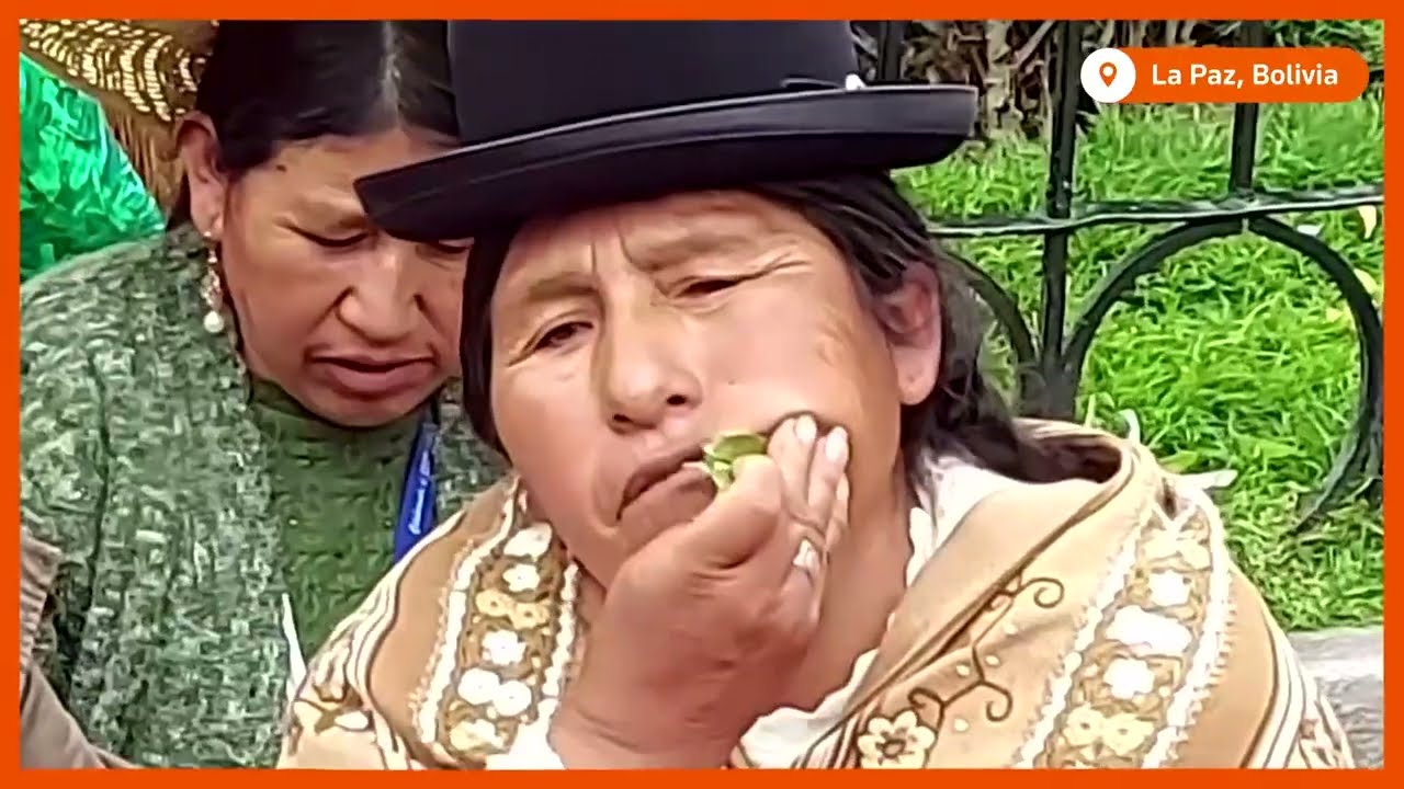 Bolivians celebrate 'Akulliku,' coca leaf chewing day