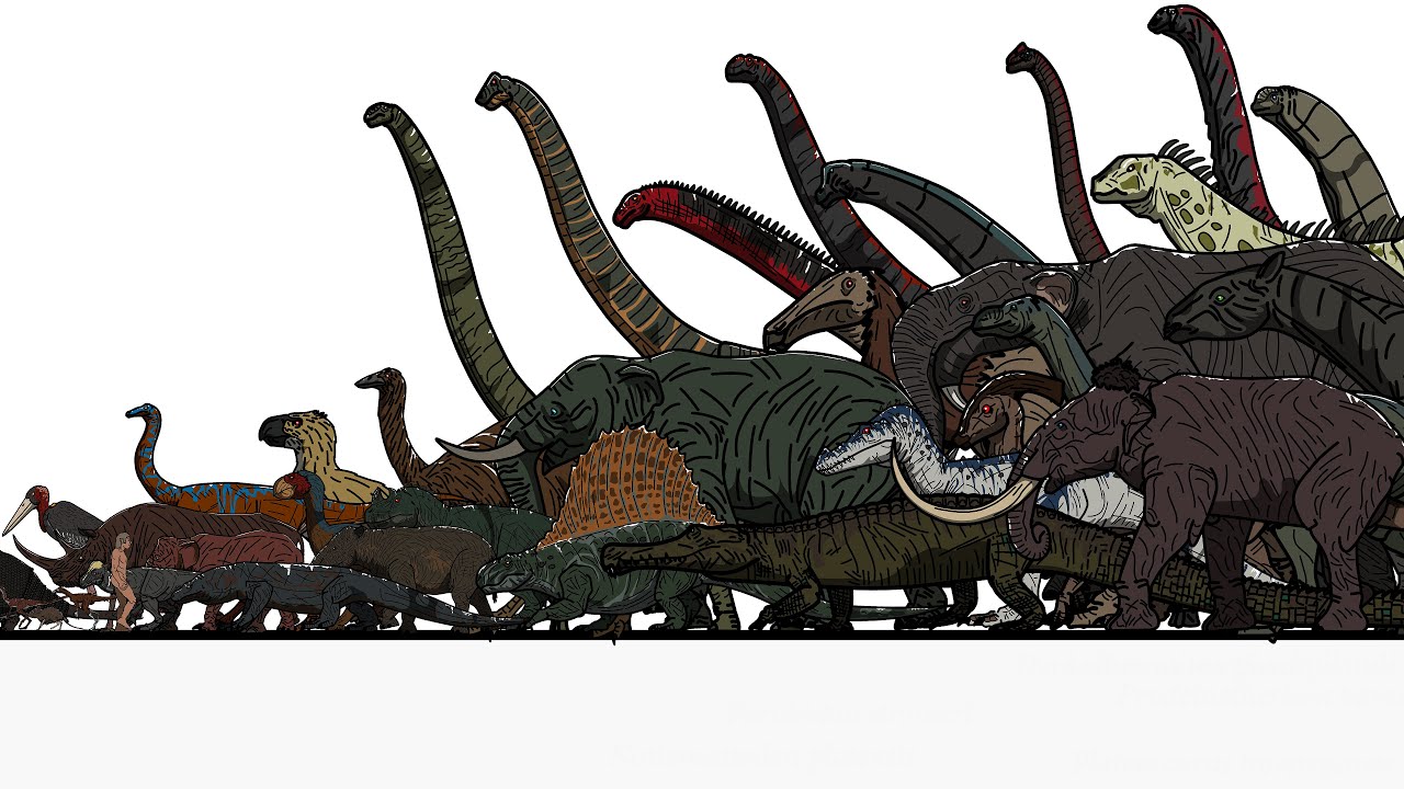 Size Comparison: Prehistoric Animals(random) Animated finale 4 of 5.