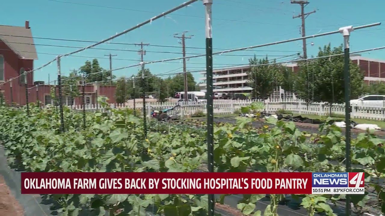 Farm aims to give back to local food pantries with fresh produce