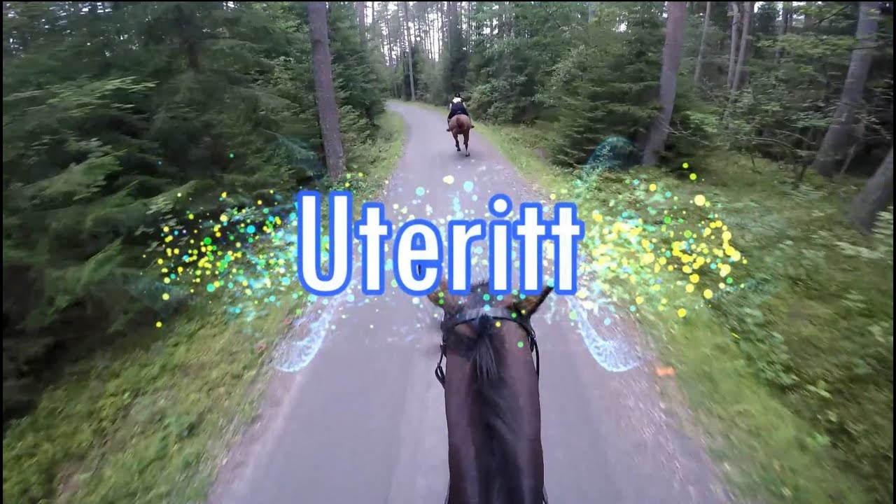 H&auml;ng med p&aring; uteritt
