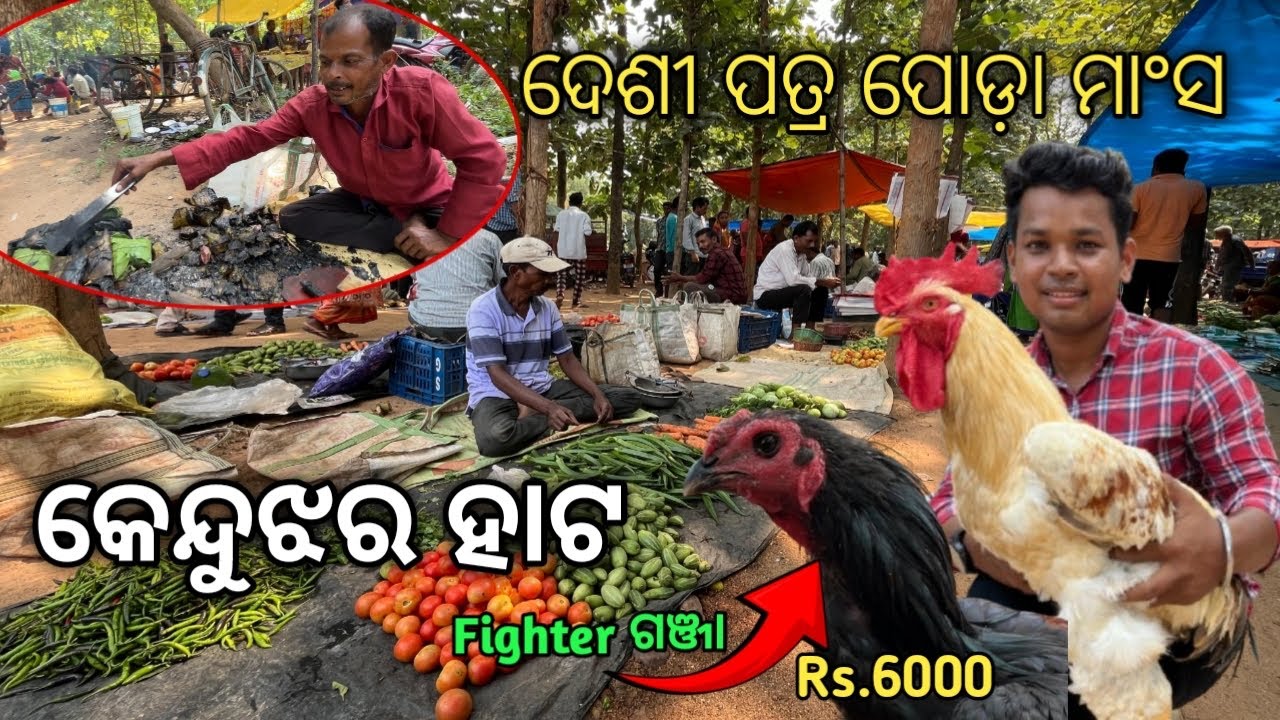 କେନ୍ଦୁଝର ହାଟରେ patra poda Chicken | keonjhar Hata | #patrapoda #odiavlog #dailyvlog #odisha