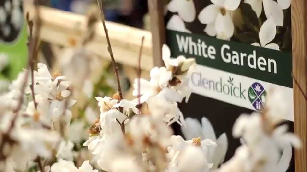 Glendoick White Garden with Ken Cox