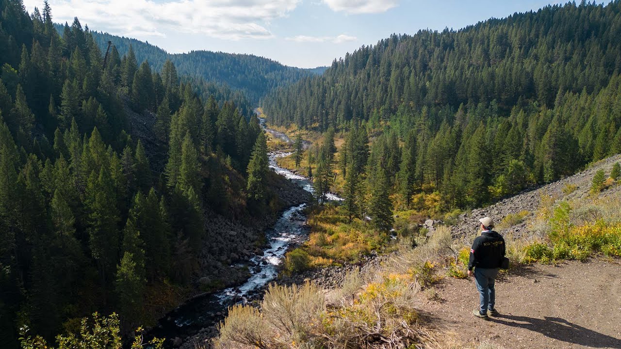 Fall FLY FISHING In IDAHO For Wild TROUT! (Yellowstone Teton Territory)