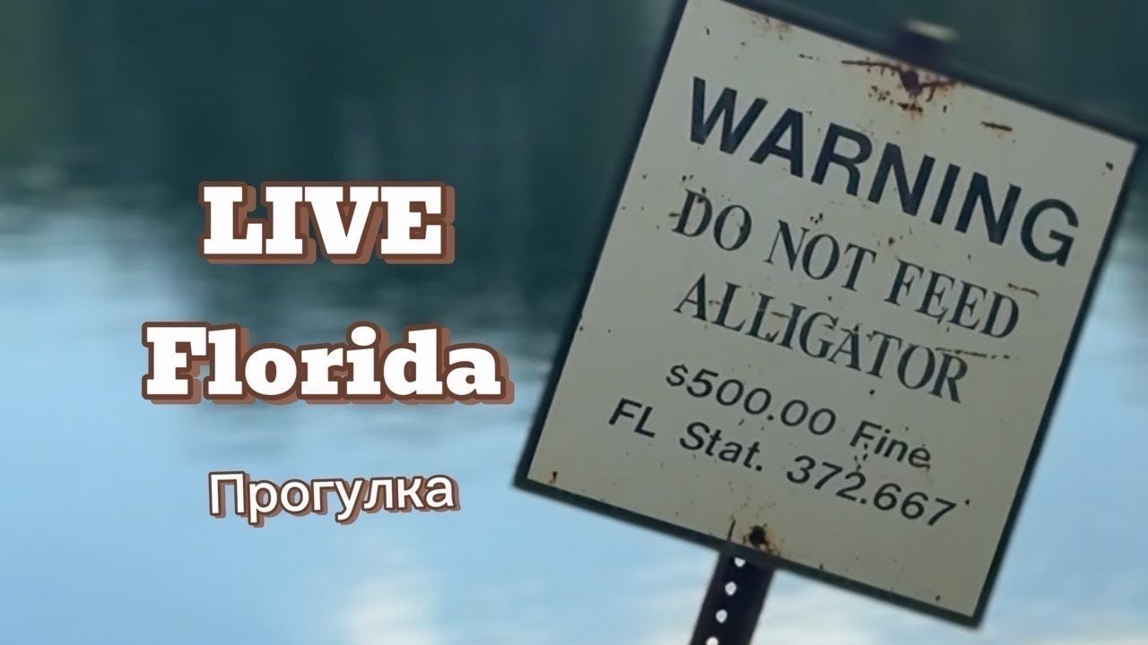 LIVE • Стрим • Florida, США • Прогулка | Препод в шоке