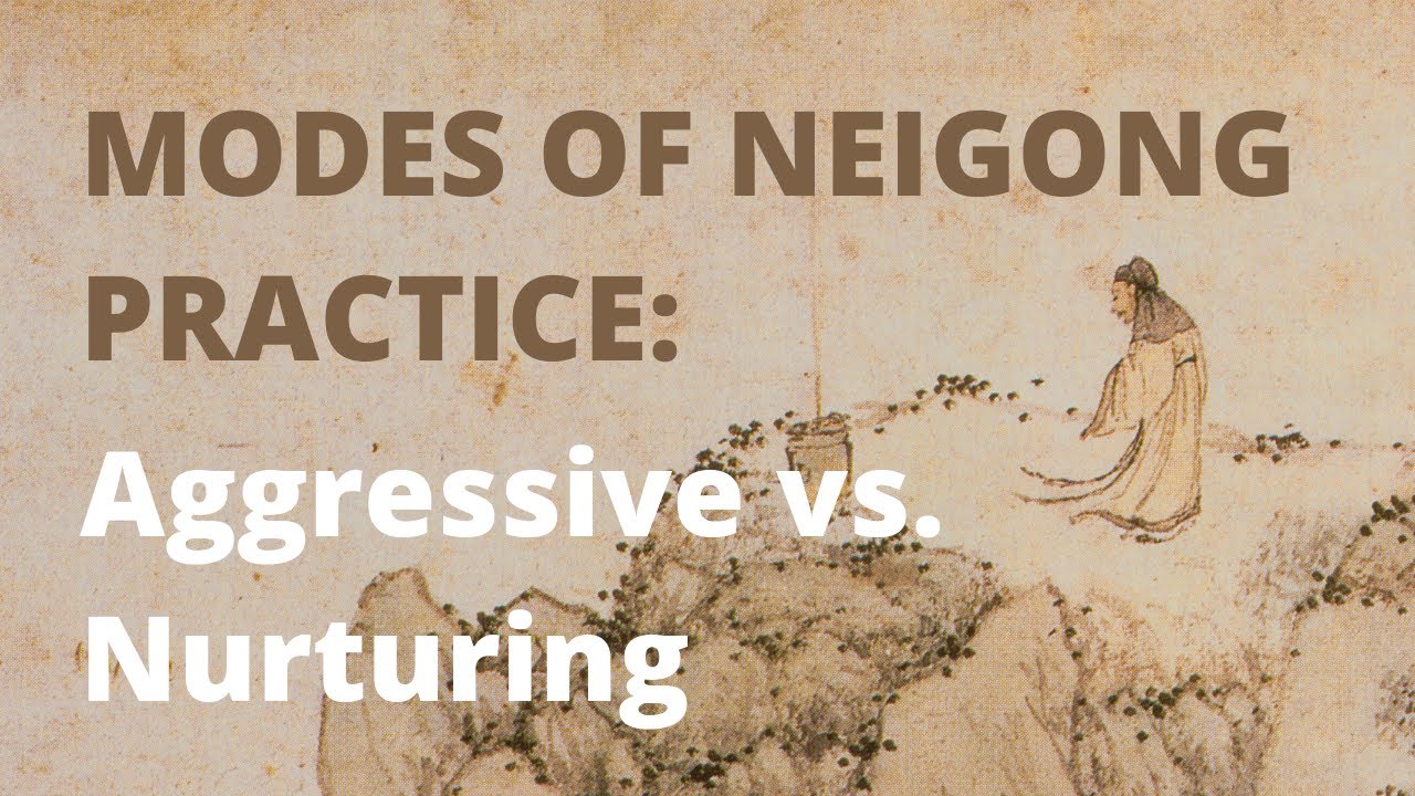 Modes of Neigong Practice: Aggressive vs. Nurturing | Wang Liping Taoist Cultivation