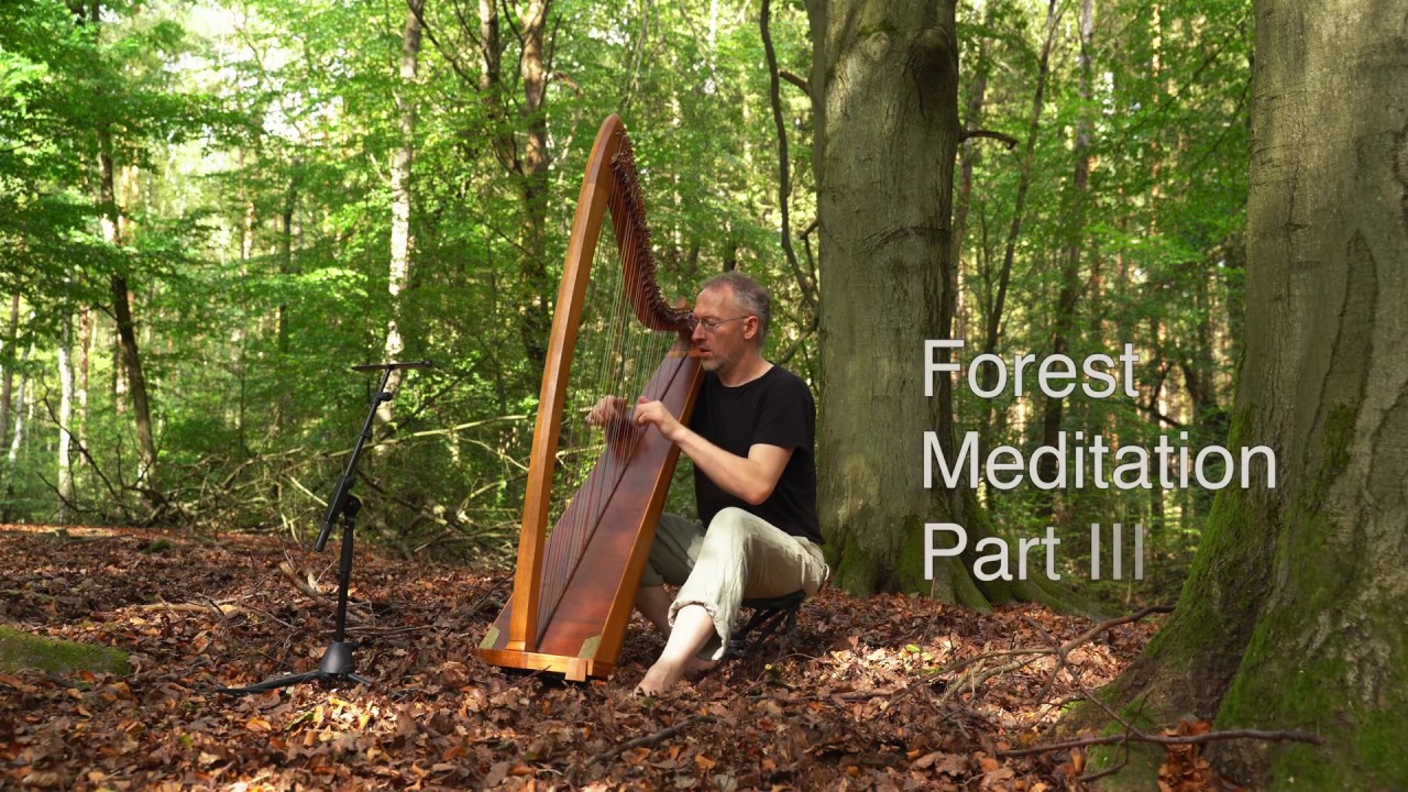 Forest Meditation on Celtic Harp, Part 3