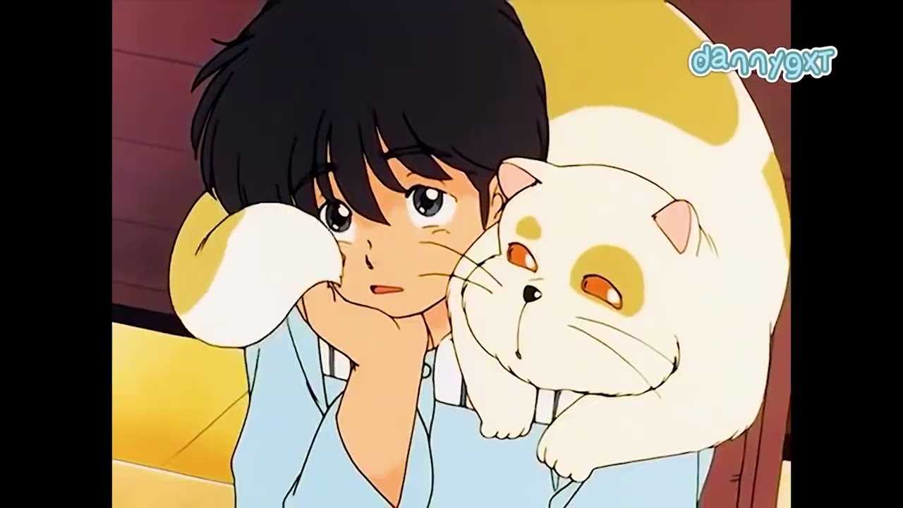 È quasi magia Johnny - VIDEOSIGLA DVD FULL + ENDING 1 MIN