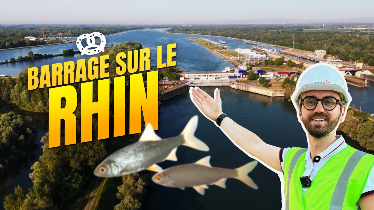 🐟 Je visite un barrage sur le Rhin