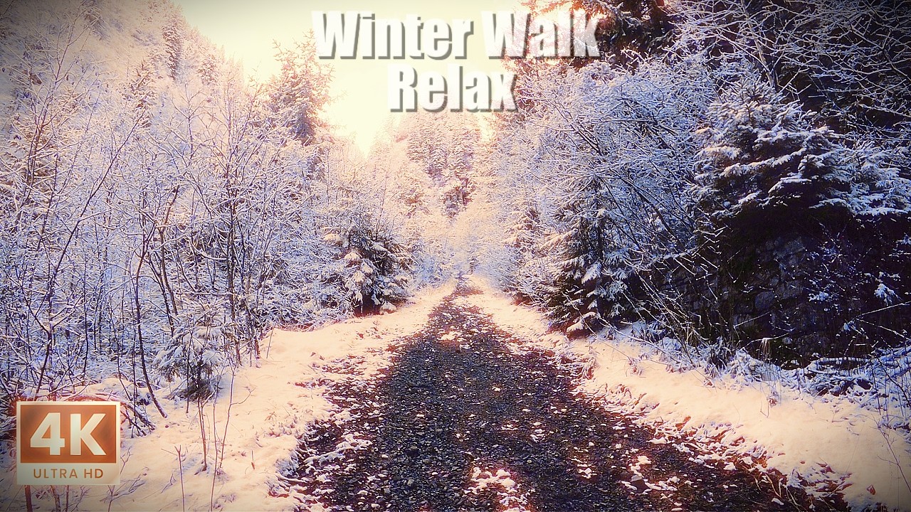 Tranquil Mountain Path with Calming Nature Audio / 4K ASMR