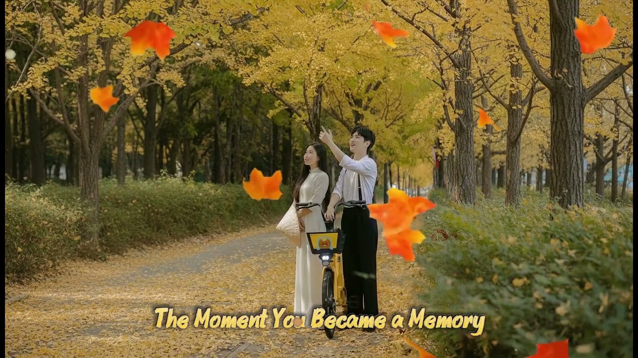 The Moment You Became a Memory 💔 | Sweet Broken Heart Love Song