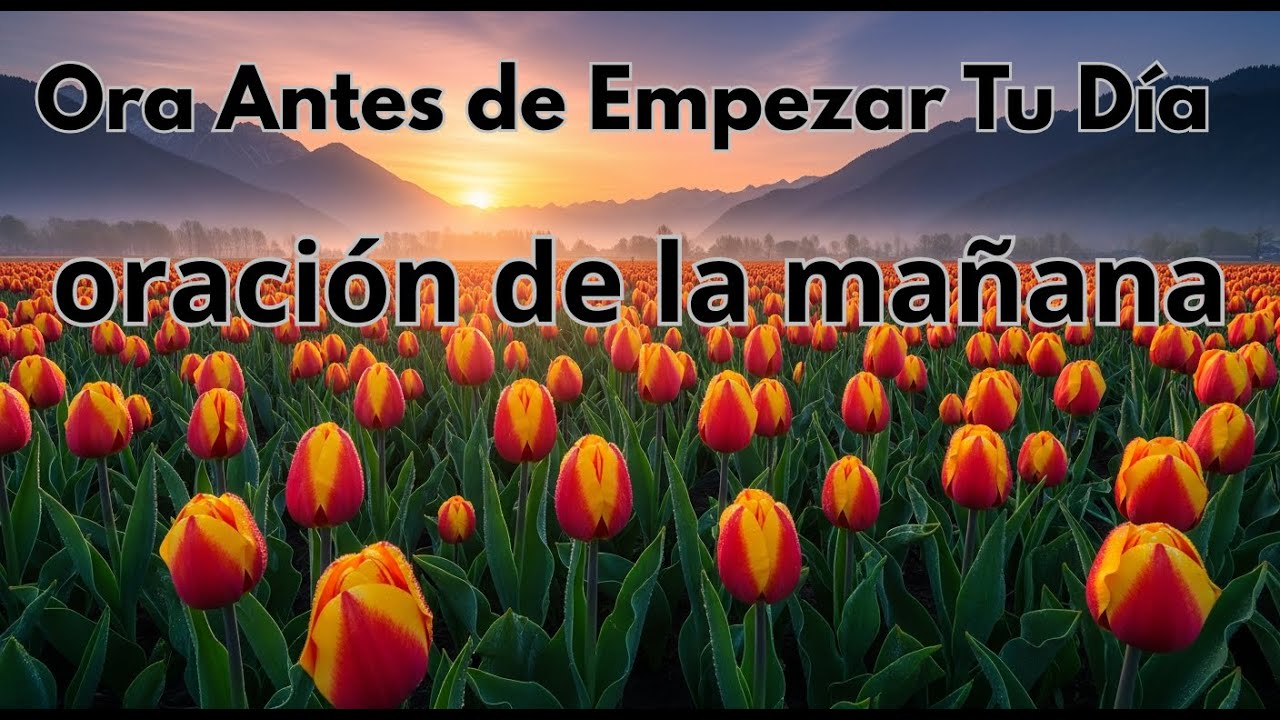 Oraciones de la Mañana  Donde comienzan tus dias con Dios