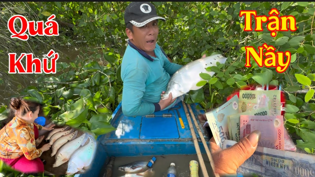 Thả Câu Thác Lác Cờm Trúng Đậm HÀNG KHỦNG /Định Nguyễn Hậu Giang