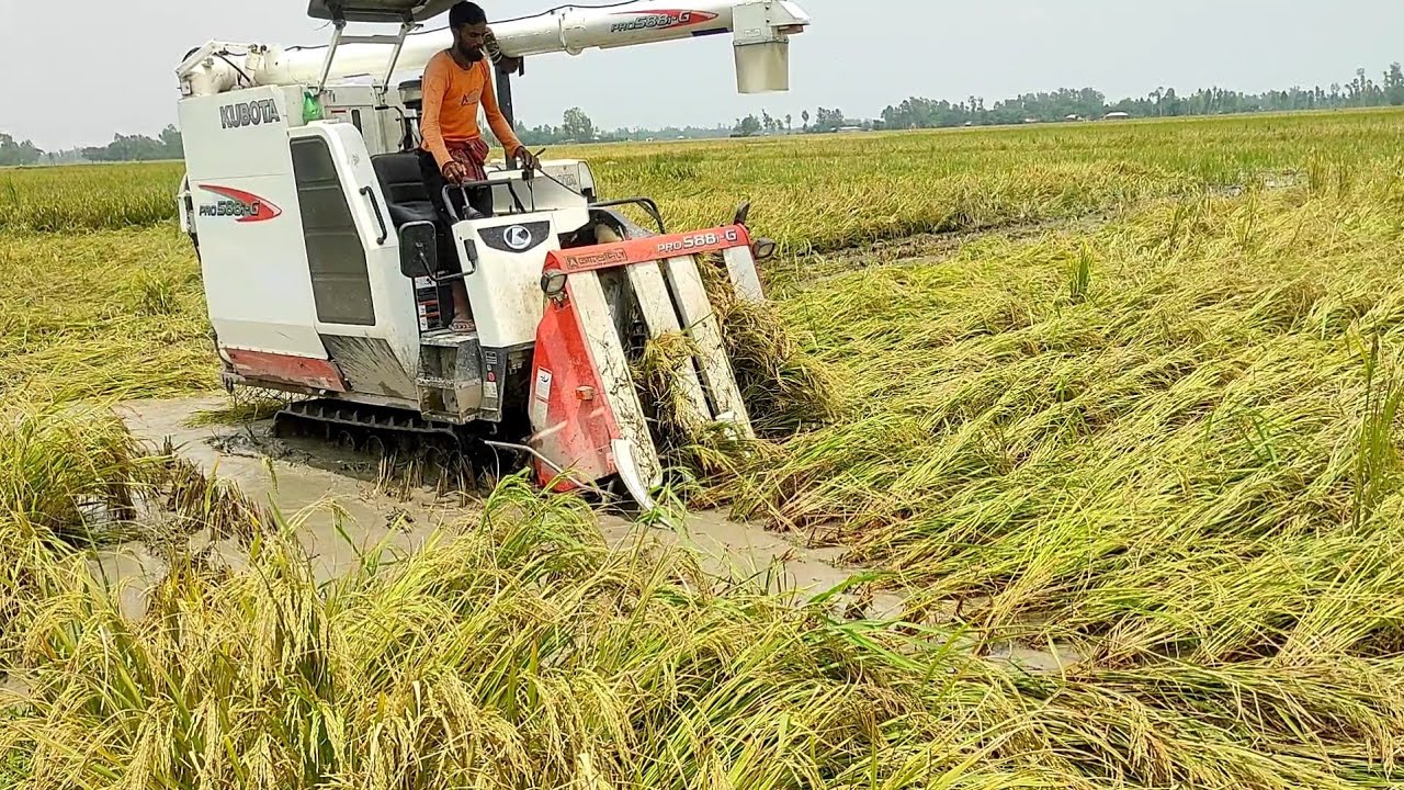ধান কাটা মেশিন | ১ ঘন্টায় ১ একর জুমি | ধান কাটা মাড়াই শেষ