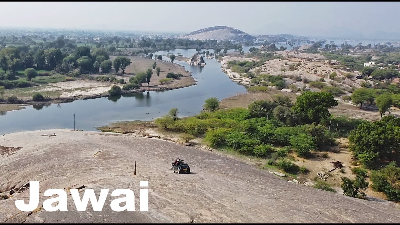 Jawai Jungle Safari | Leopard Safari | Hill Safari | Jawai Bandh | Sumerpur | Manish Solanki Vlogs