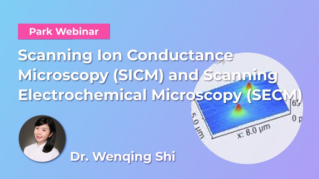 Scanning Ion Conductance Microscopy (SICM) and Scanning Electrochemical Microscopy (SECM)