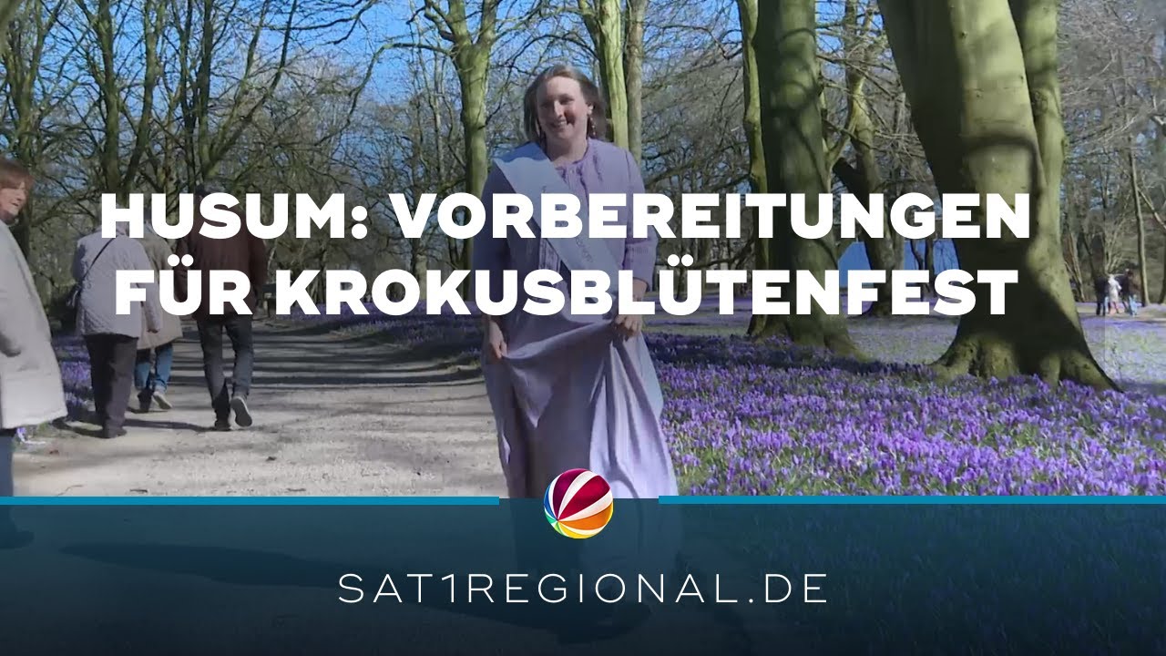 Husum bereitet sich auf Krokusblütenfest 2025 vor