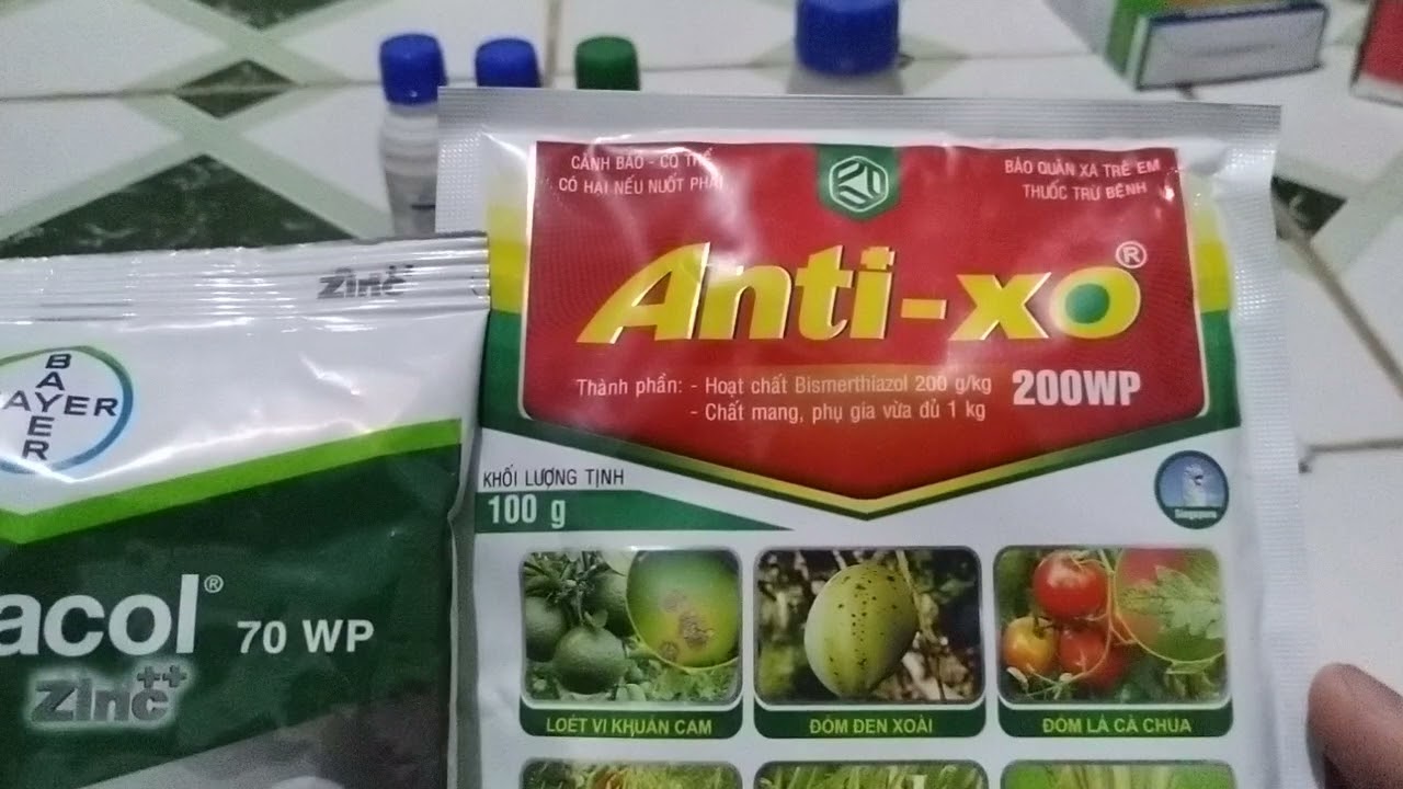 Thuốc xịt rửa bông xoài| thuốc đặc trị thán thư bông xoài.