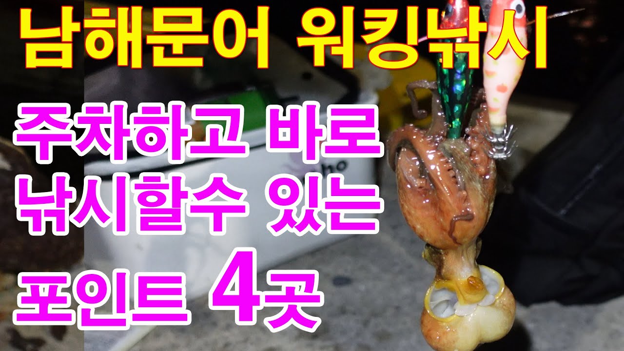 (문어워킹낚시)남해에 발판좋고 주차하고 바로낚시 가능한 포인트 4곳