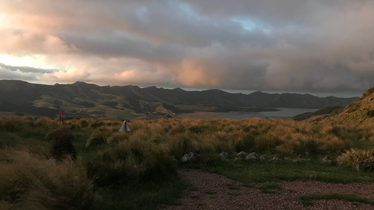 (Short) - Overnight in Machac Bush Cocoon Bivvy