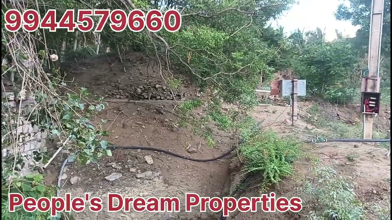 9944579660/ திண்டுக்கல் மாவட்டம்/ வத்தலக்குண்டு ஏரியா/ 10.50 ஏக்கர்/ விலை 12.50 லட்சம்( ஏக்கர்)