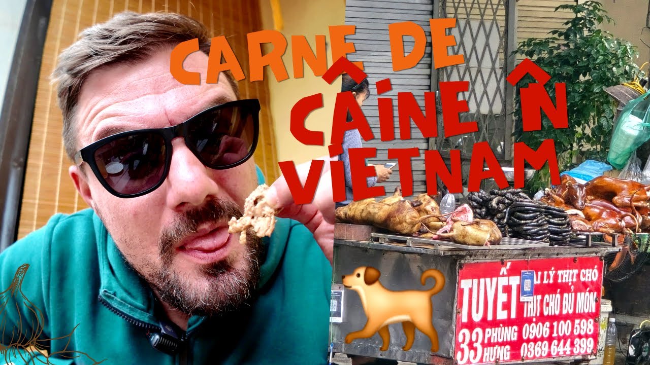 În Vietnam se mănâncă câine. Dar nu așa cum ne imaginăm noi