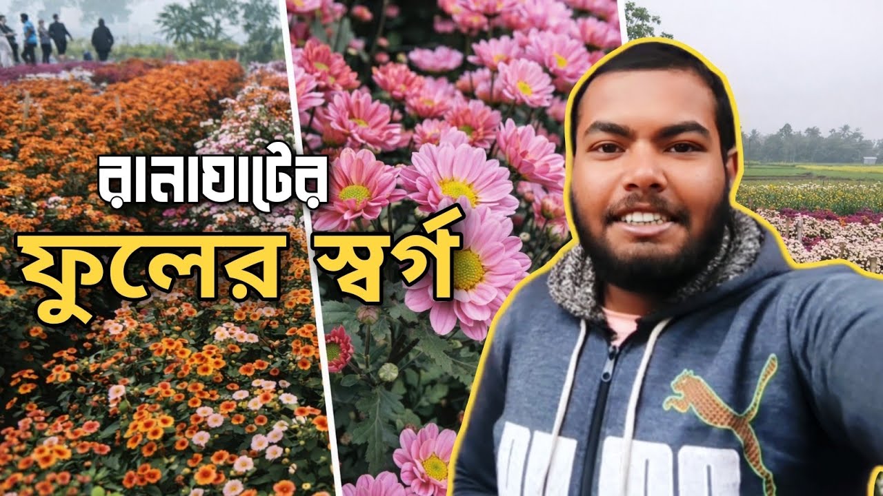 Ranaghat Flower Paradise 🌸 | রাণাঘাটের ফুলের স্বর্গ 🏵️
