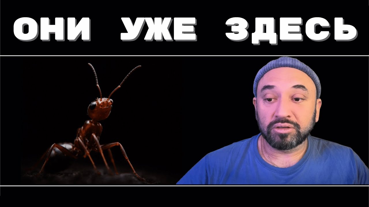 Прямо под ногами: чужой разум, о котором мы ничего не знали