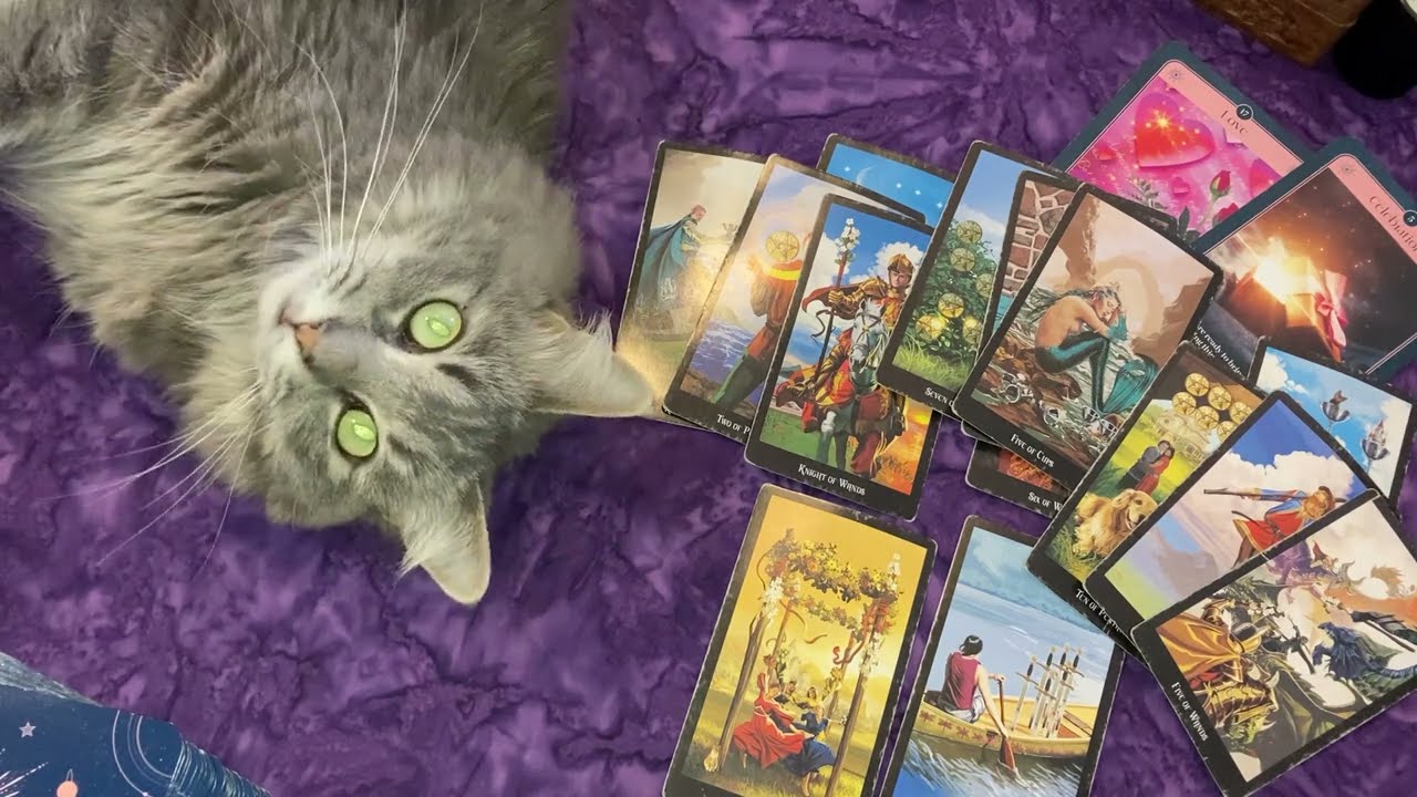 CANCER Someone's Looking For You!  ♋