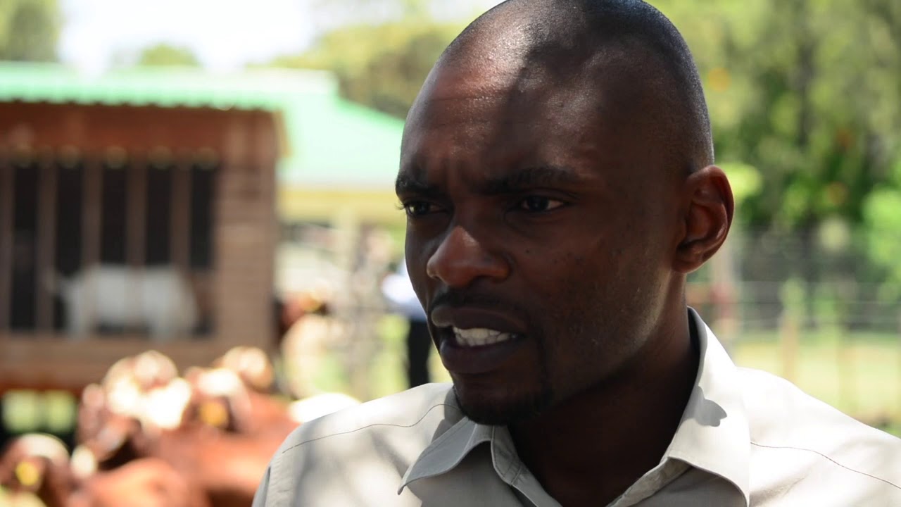 Value Chain Alliance for Livestock Upgrading and Empowerment (VALUE)