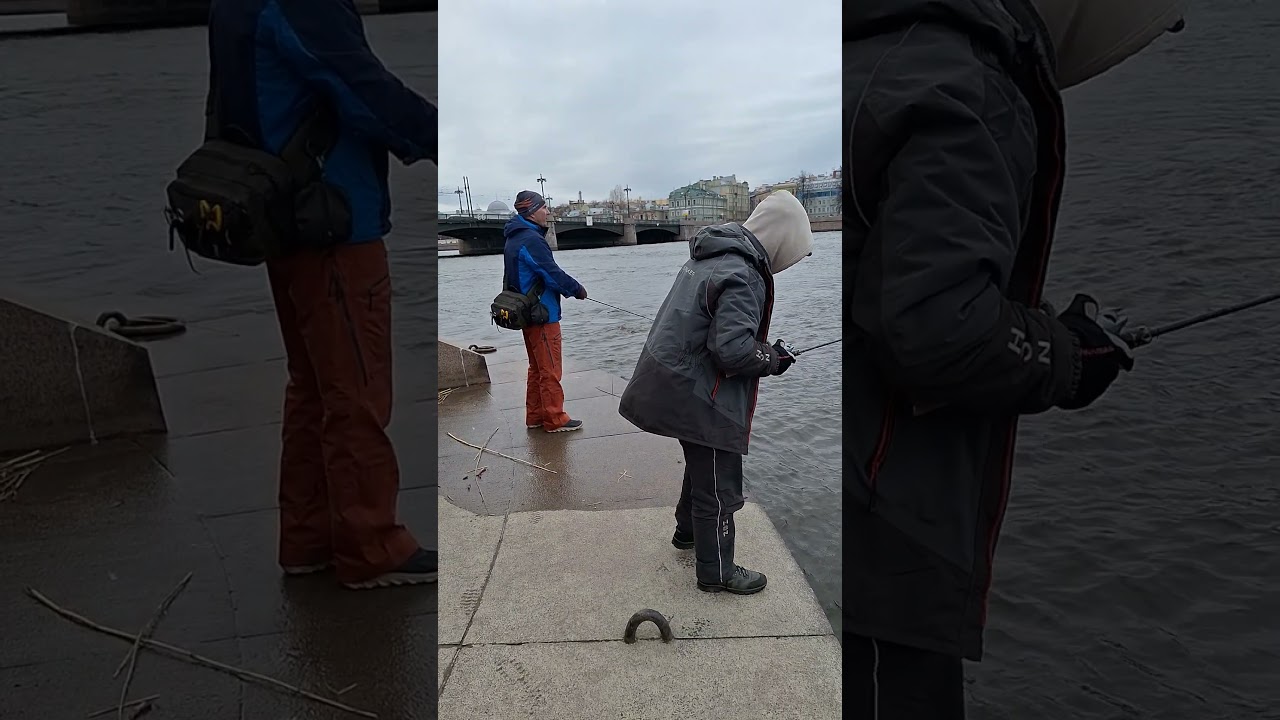 Metanium головного мозга 🤪🤪🤪 (shimano metanium 22 se)