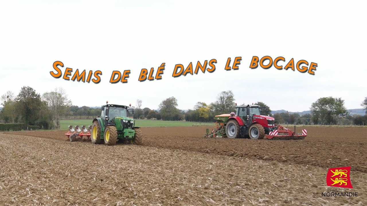 Semis de blé 2020
