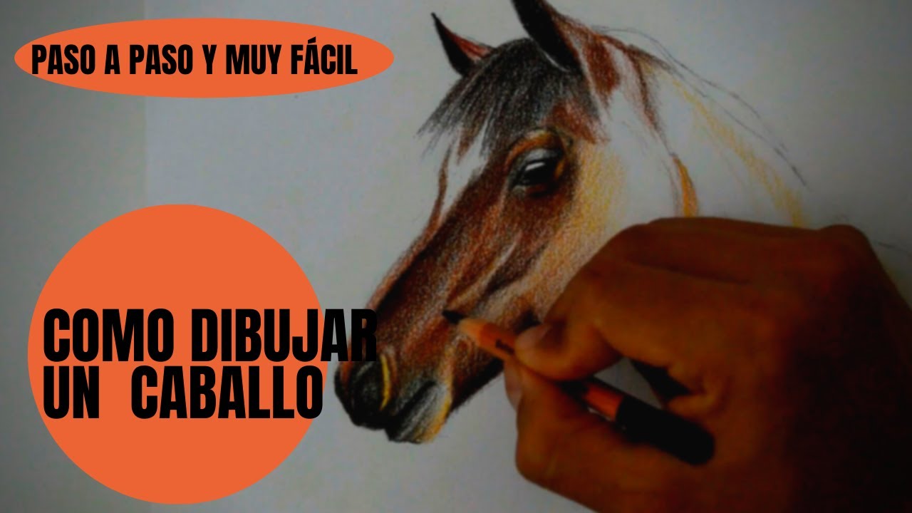 Como dibujar un caballo realista muy fácil.