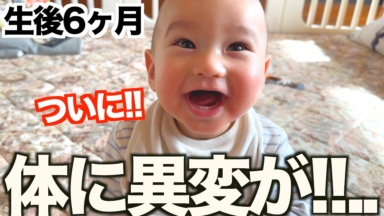 「ついに出てきた!!..」生後6ヶ月赤ちゃんの成長がすごい！！！それを見たドイツ両親の反応が最高すぎた！