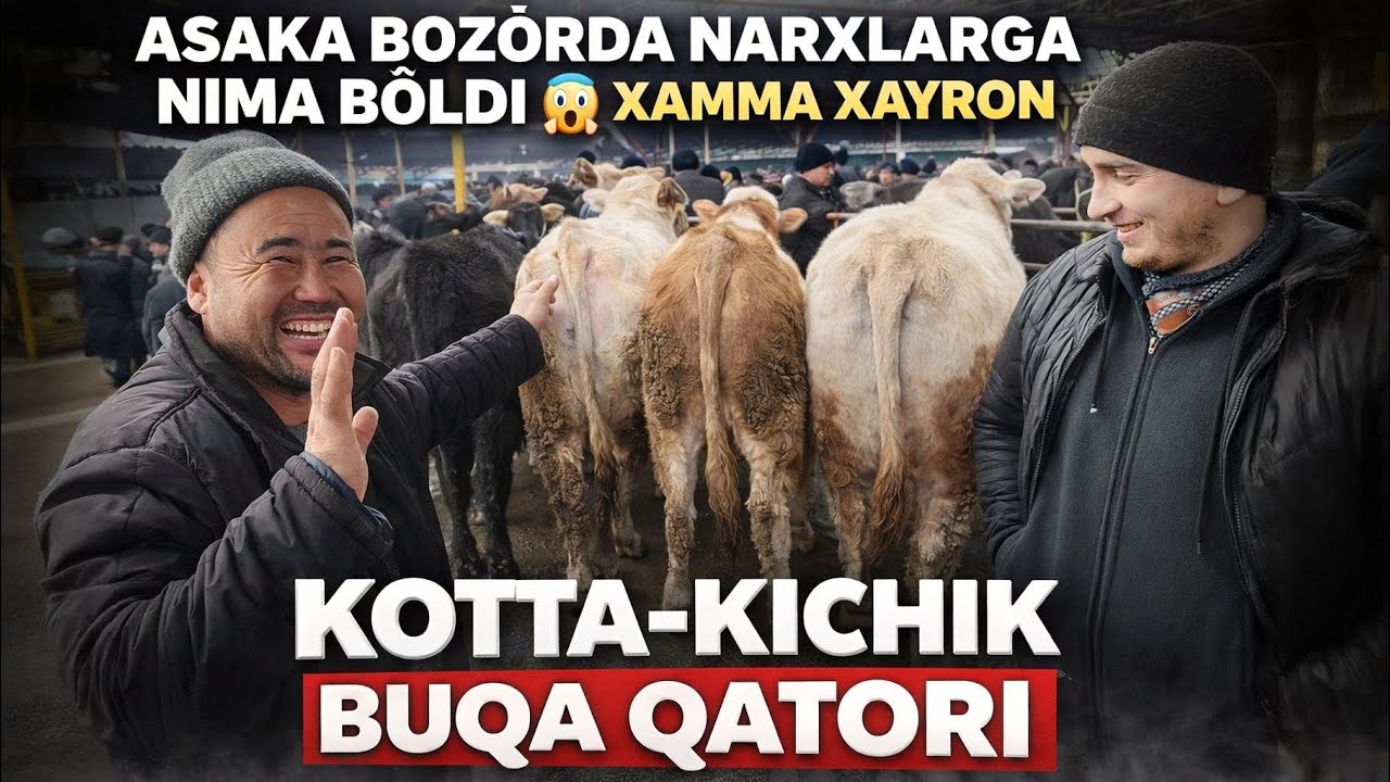 ASAKA BOZORDA BUQA NARXLARI ÓZGARIB KETTI DAXSHAT😱BUQASI BORLAR TEZ KÓRING😱😱🔥12 февраля 2026 г.