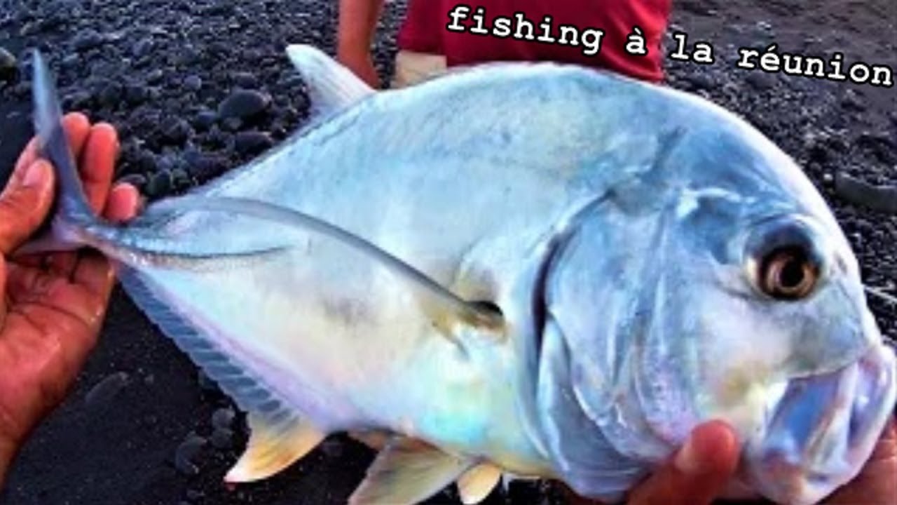 pêche carangue du bord au vif et au leurre  à l'île de la réunion