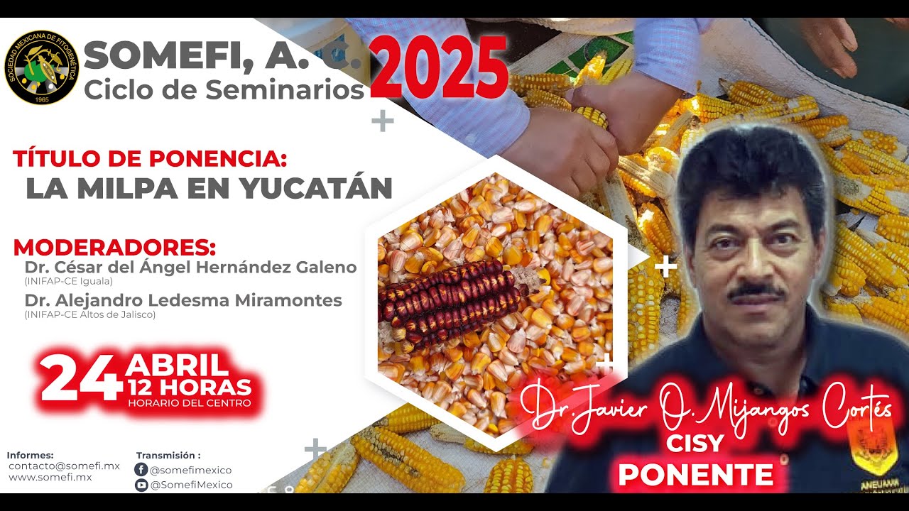 Ciclo de seminarios virtuales SOMEFI 202