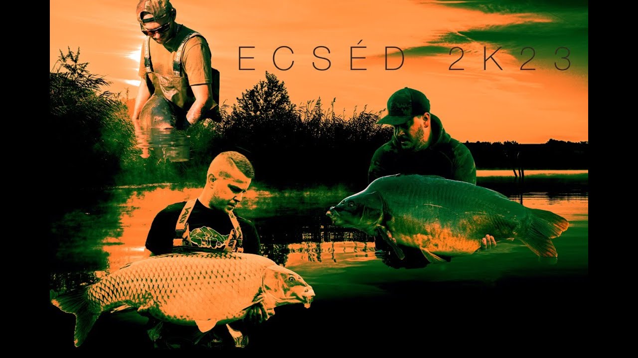 Nagypontyokra tudatosan. - Ecséd