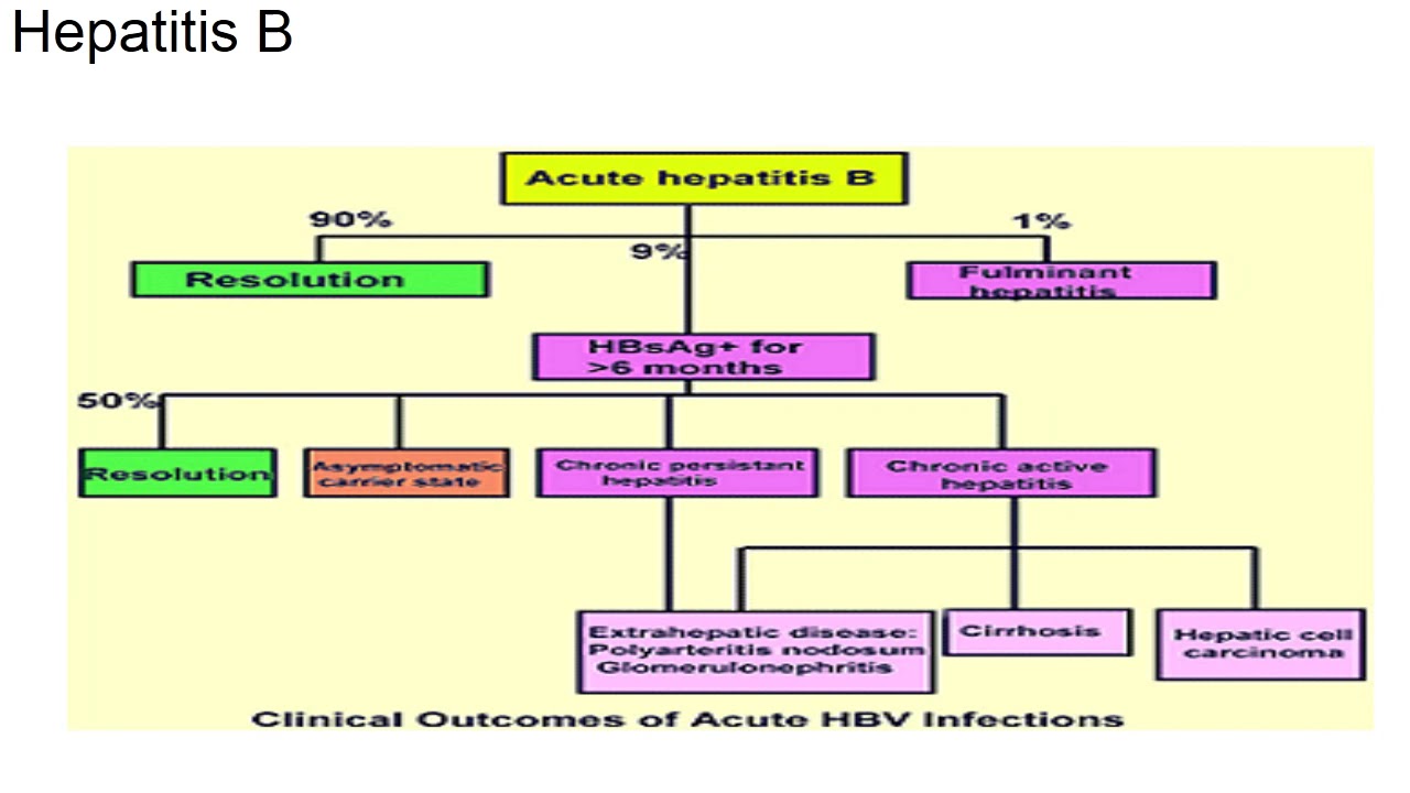 المحاضرة الثالثة فى مادة (باطنة عامة ) بعنوان Hepatobiliary للفرقة الأولى بالمعهد