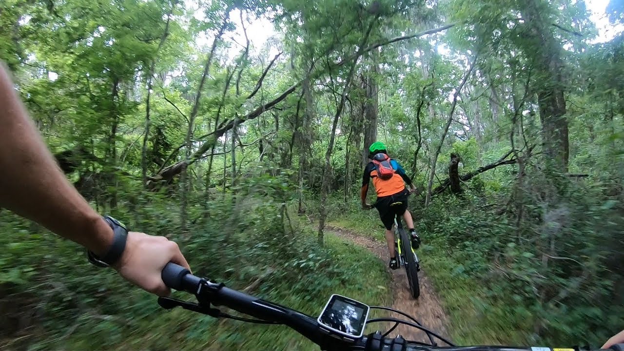 Путешествие по Северной Джорджии с Доусоном. Часть 1 - Маршрут &laquo;Зеленая гора&raquo;.