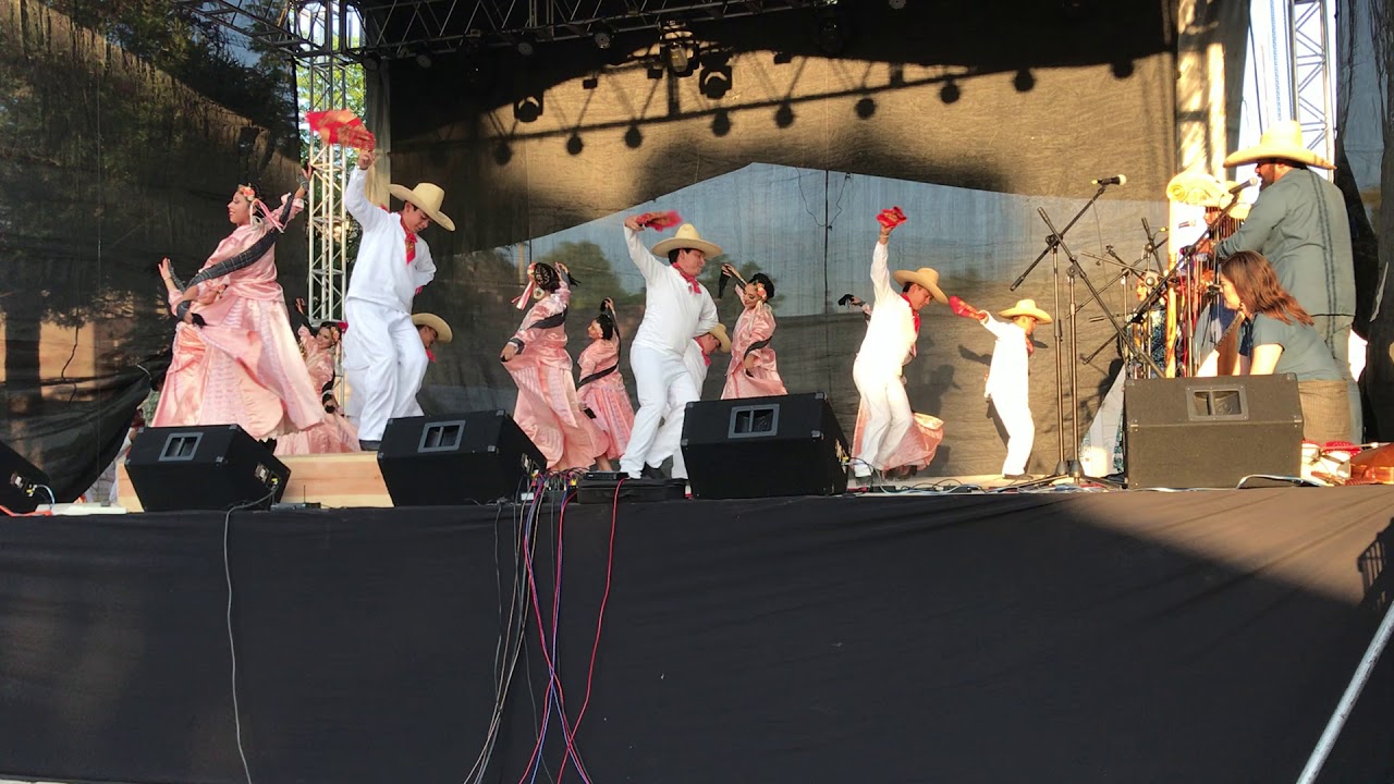 Popurrí sones de Tarima de Tixtla