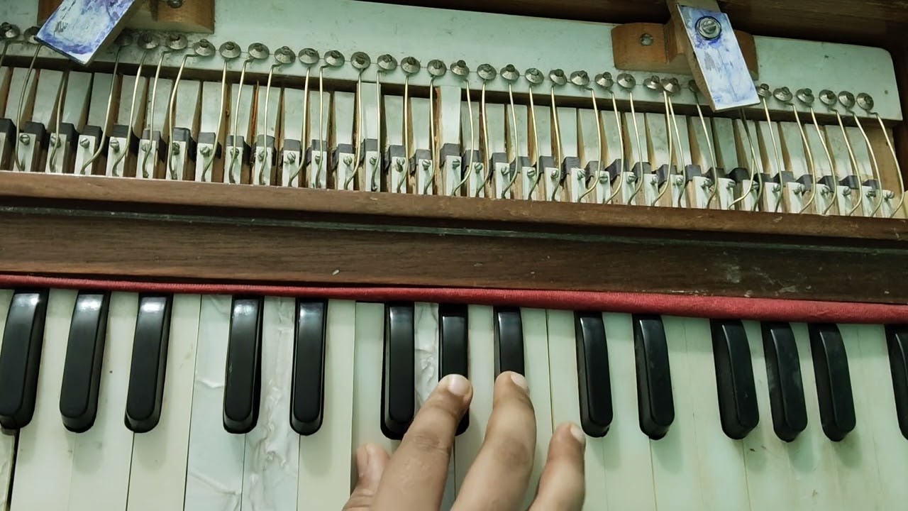 जात्याच्या मुखी घालिते मोत्यांचे दाणे... #harmoniumcover #harmoniumsargam #harmonium #aabhang 