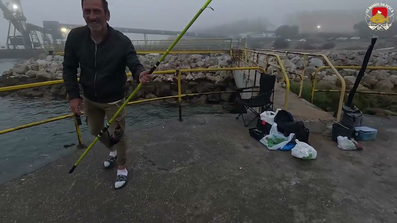 Pesca as Corvinas em Setubal elas ate roncavam