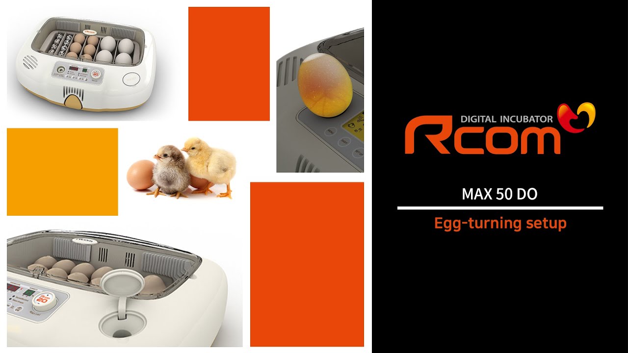 Rcom MAX 50 DO Incubator : Egg-turning setup