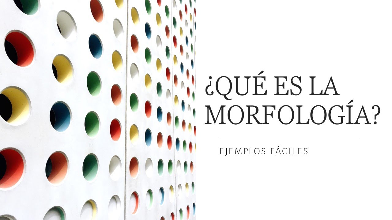 ¿Qué es la Morfología?