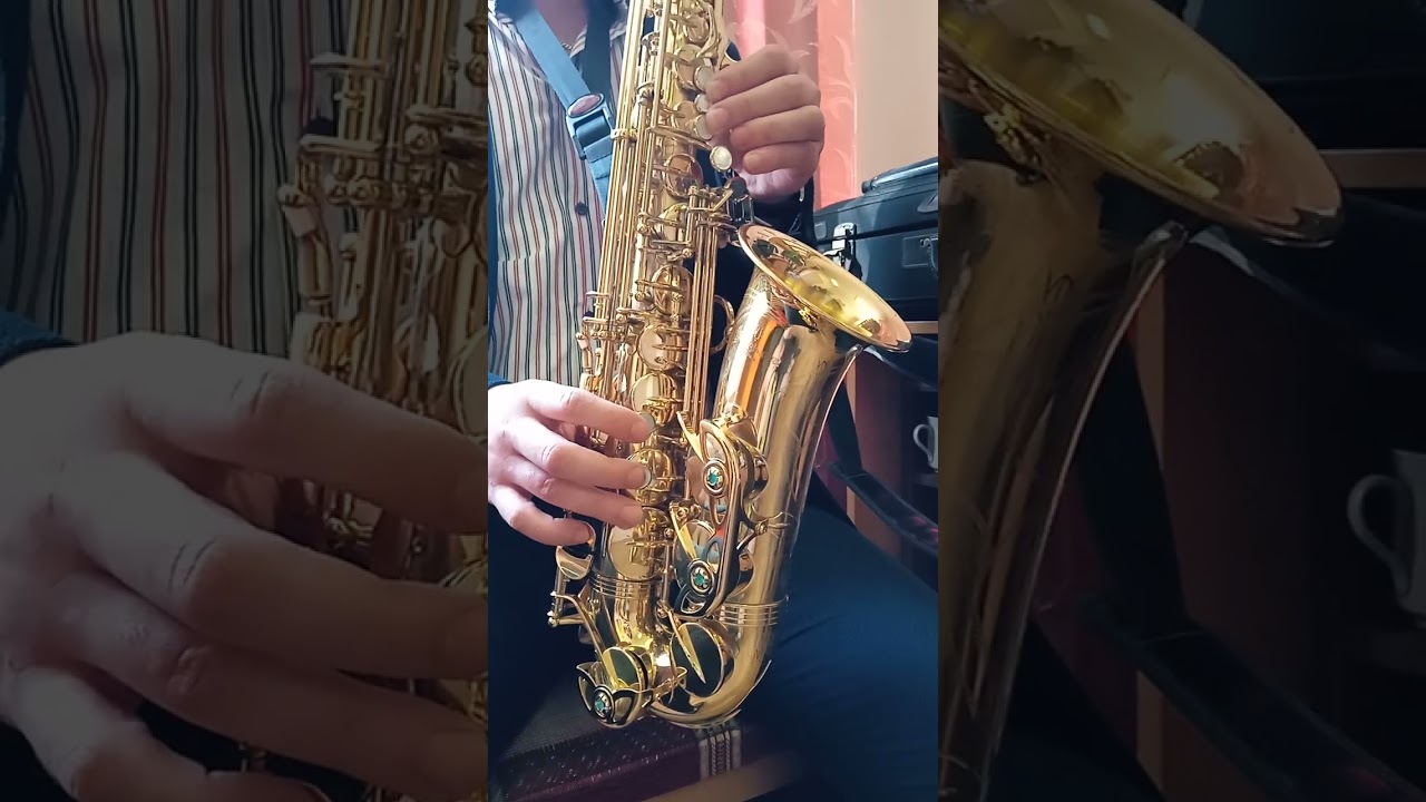 Yanagisawa W01 Alto saxophone