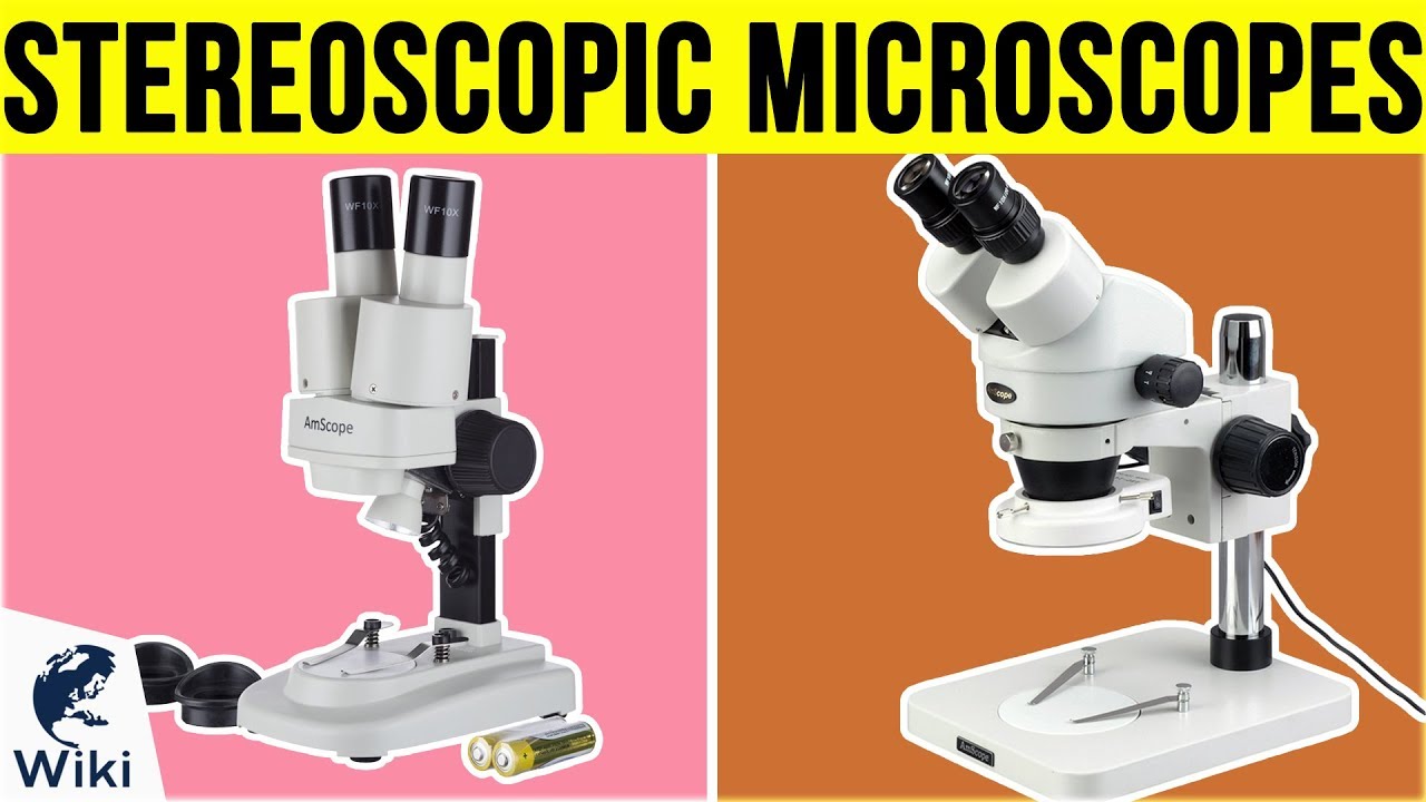 8 Best Stereoscopic Microscopes  2019