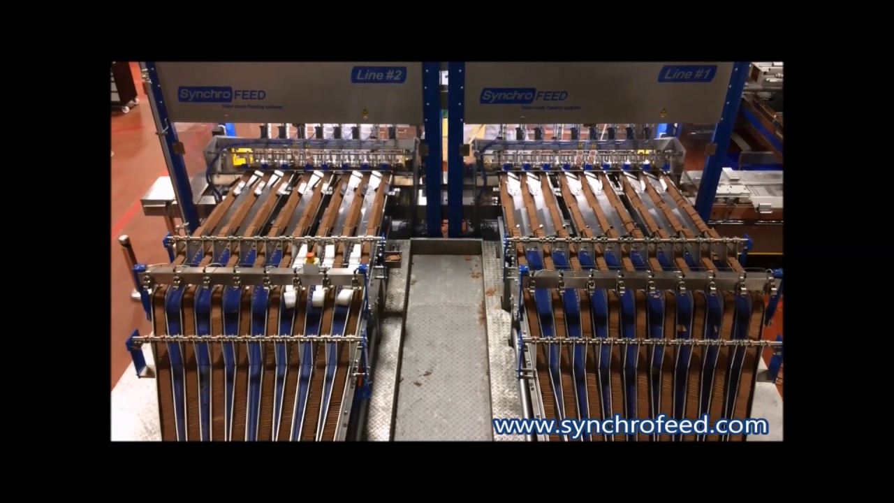 Paxon - Automated line for biscuit on edge slug formation and flow-wrapping