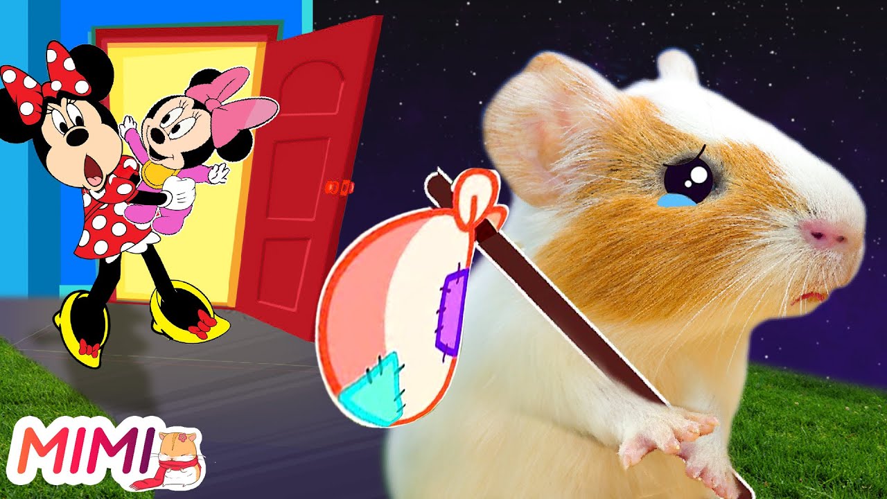 Don't Mad At Hamster MiMi! Hamster MiMi Got Bad Grade In Real Life | HAMSTER MIMI