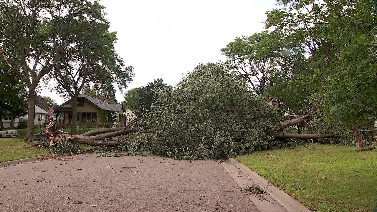 Cleanup underway in St. Paul after storms takes down trees