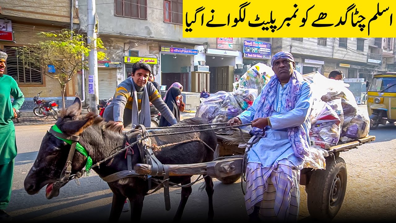 Gadhe Ko Number Plate Laga Do😂 | Aslam Chitta New Comedy Video | Shahid Hashmi | #standupcomedy